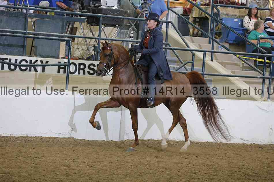 Proof 14r14_3558
