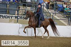14r14_3558 proof