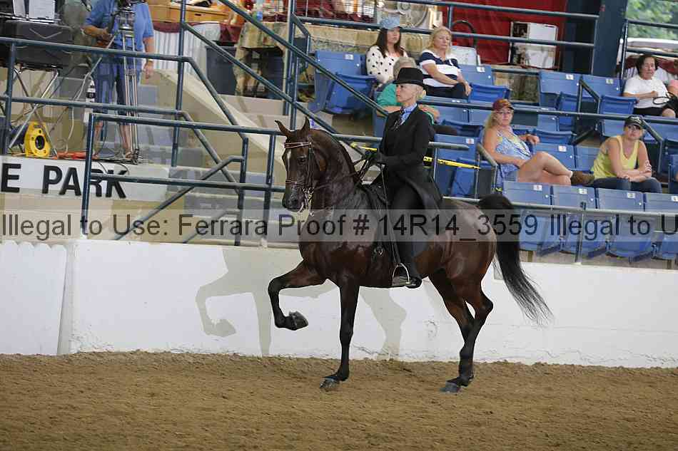 Proof 14r14_3559