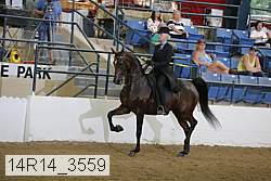 14r14_3559 proof