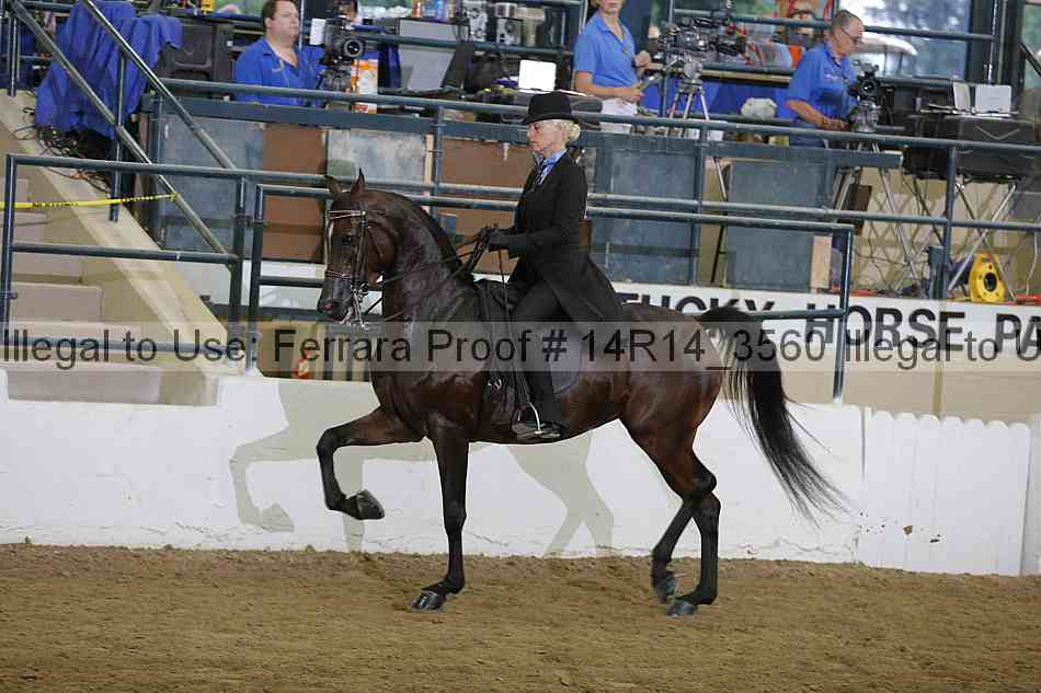 Proof 14r14_3560