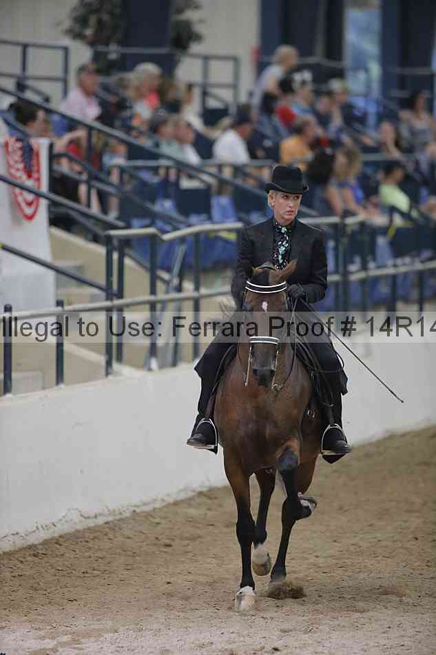 Proof 14r14_3561