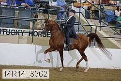 14r14_3562 proof