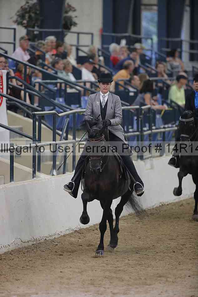 Proof 14r14_3563