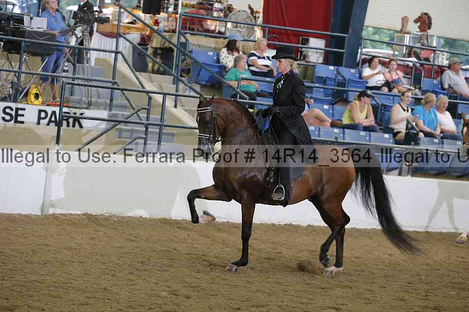 Proof 14r14_3564