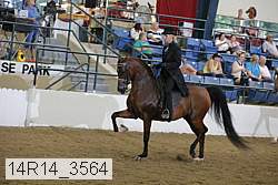 14r14_3564 proof