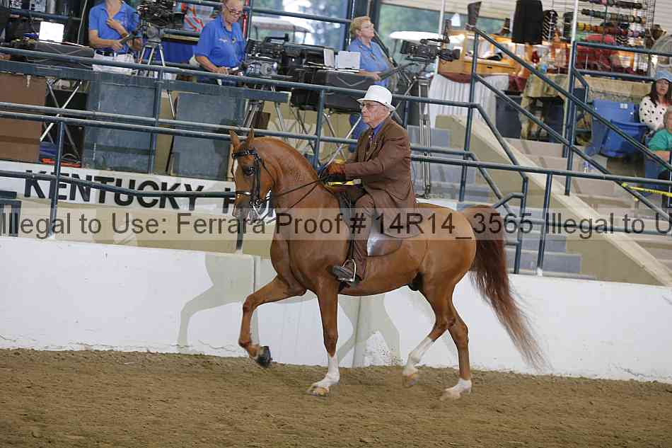 Proof 14r14_3565