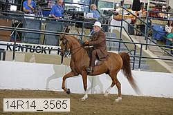14r14_3565 proof