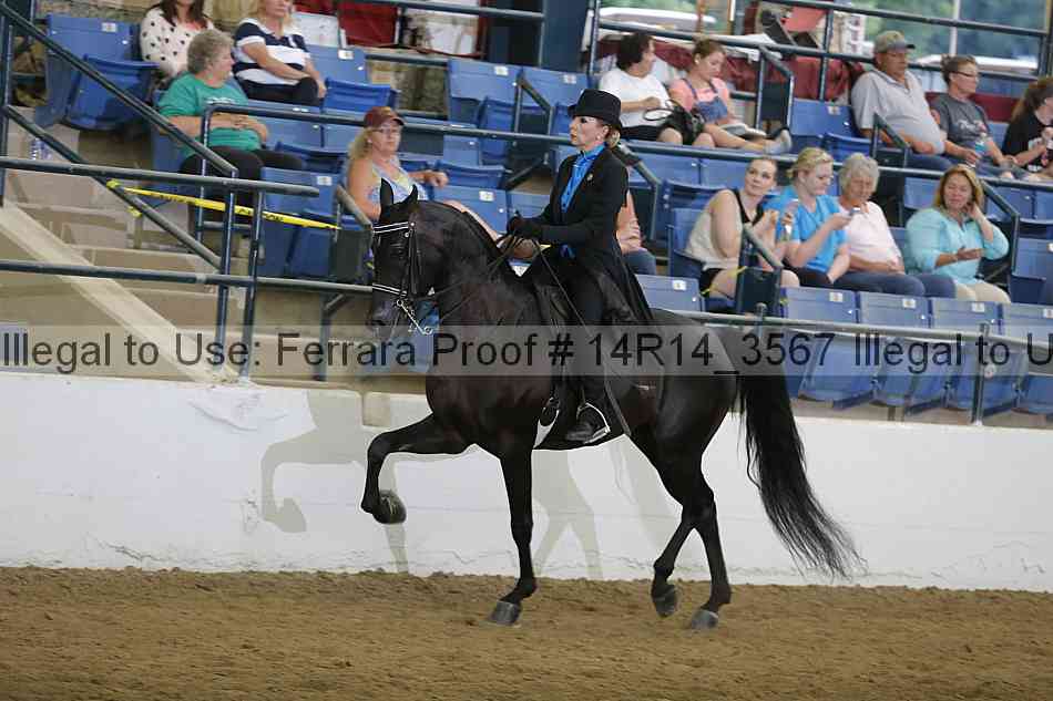 Proof 14r14_3567