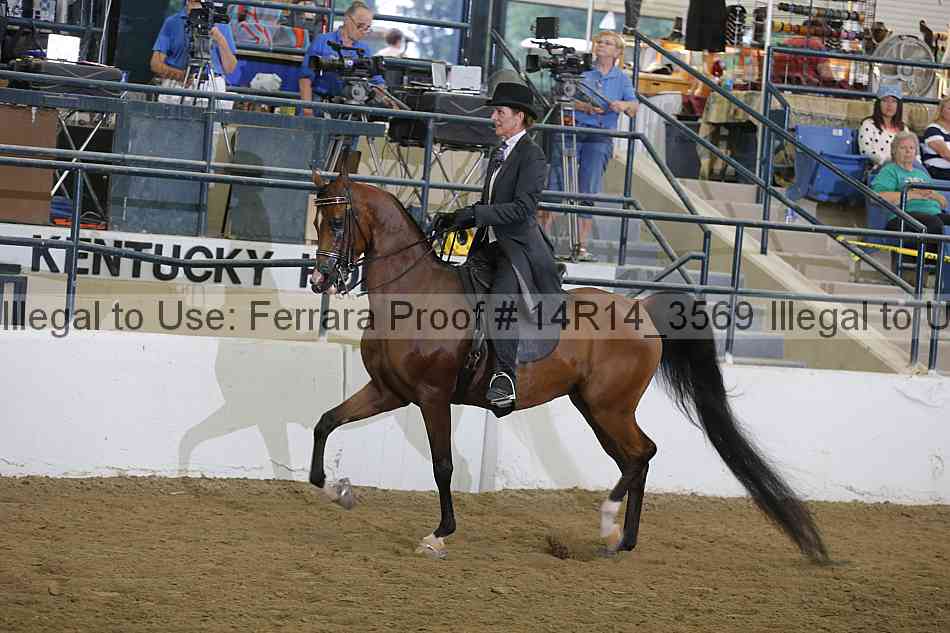 Proof 14r14_3569