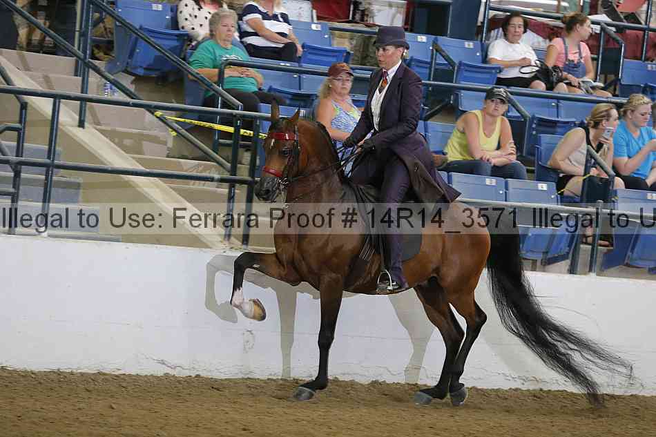 Proof 14r14_3571