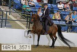 14r14_3571 proof