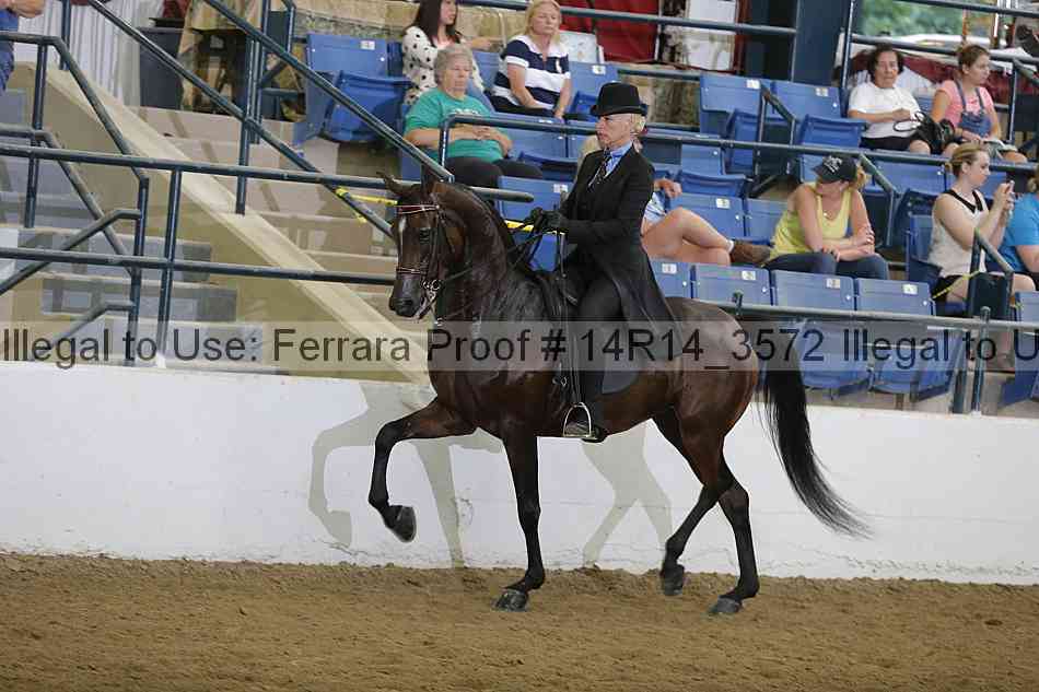 Proof 14r14_3572