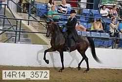 14r14_3572 proof