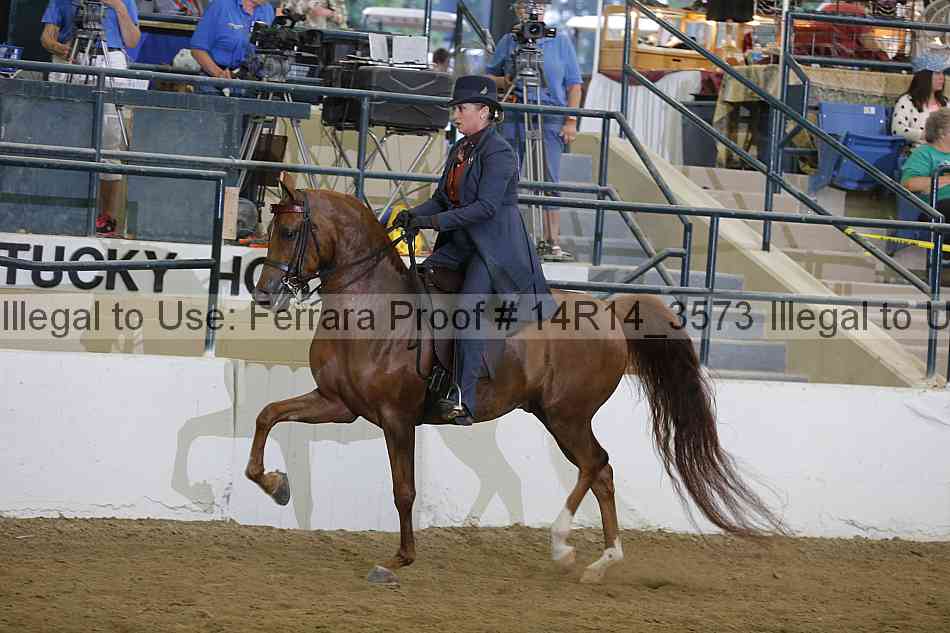 Proof 14r14_3573