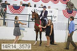 14r14_3579 proof