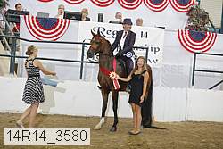 14r14_3580 proof