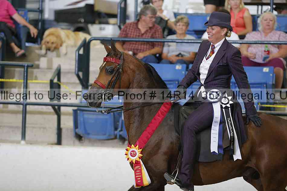 Proof 14r14_3581