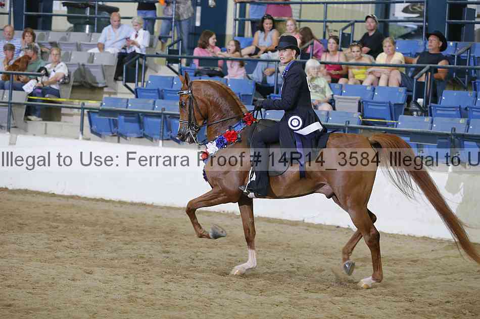 Proof 14r14_3584
