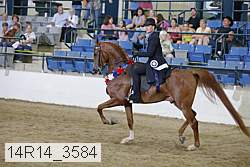 14r14_3584 proof