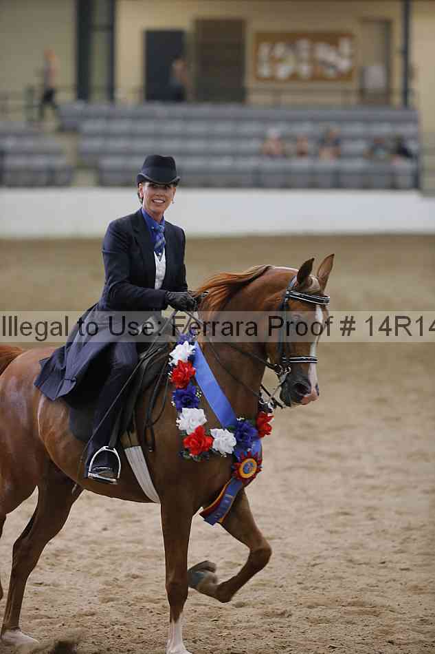 Proof 14r14_3585
