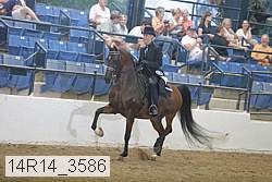 14r14_3586 proof