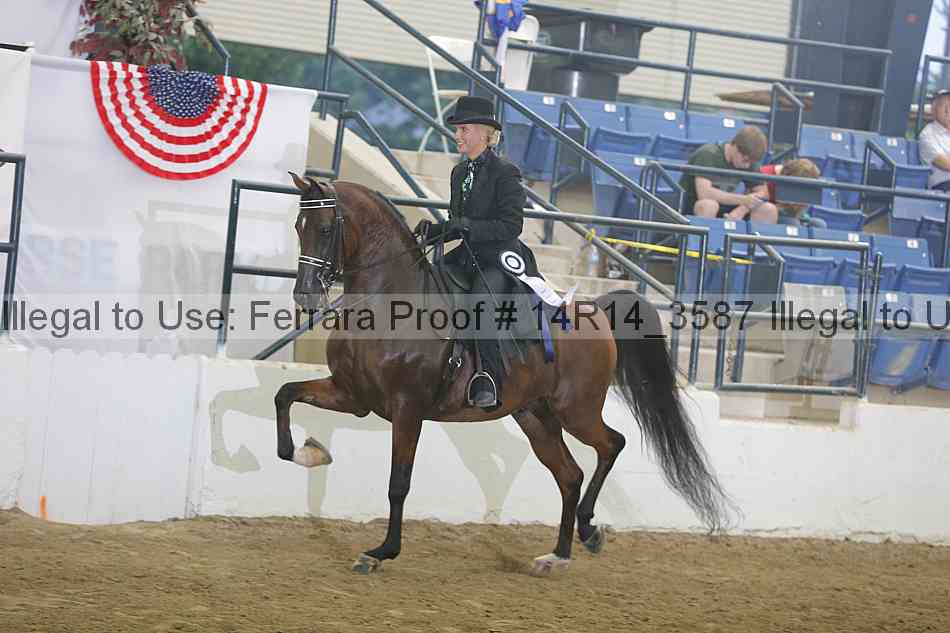 Proof 14r14_3587