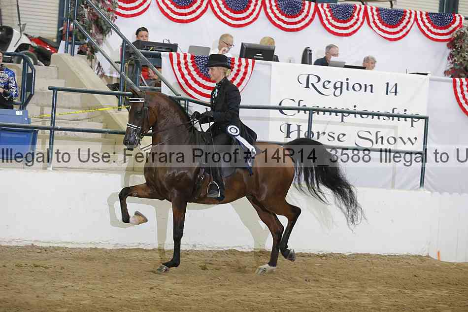 Proof 14r14_3588