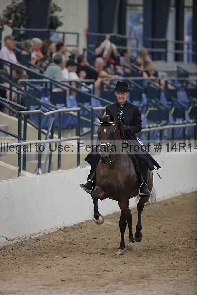 Proof 14r14_3589