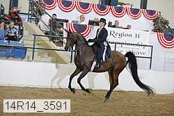 14r14_3591 proof
