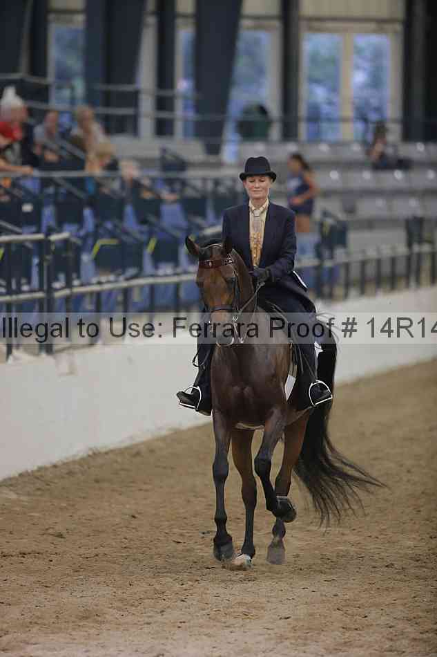 Proof 14r14_3592