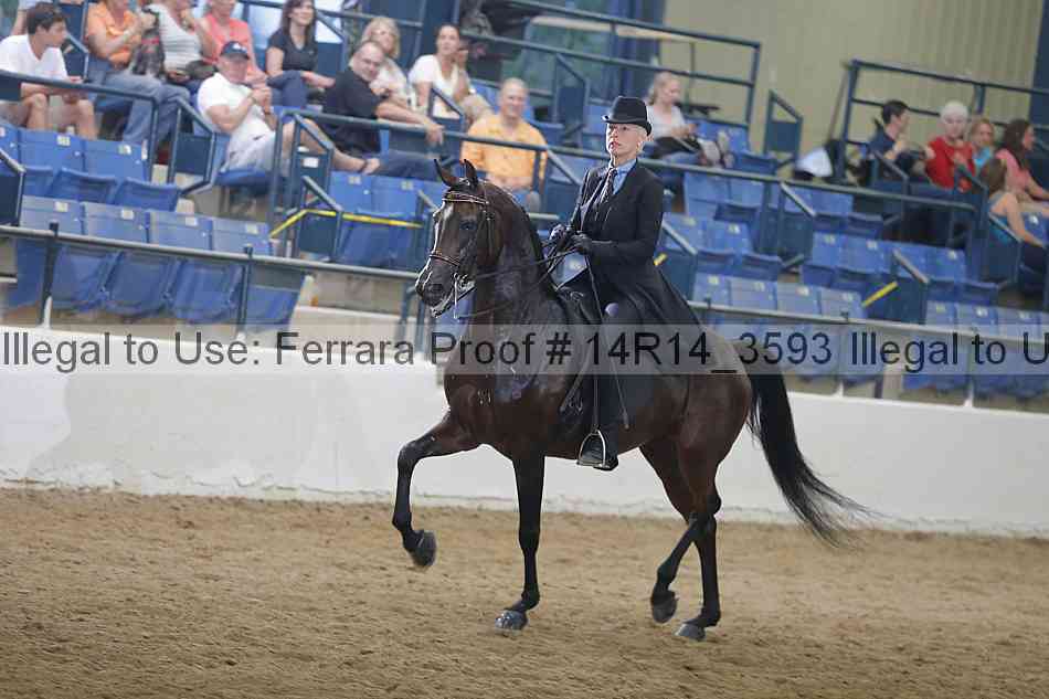 Proof 14r14_3593