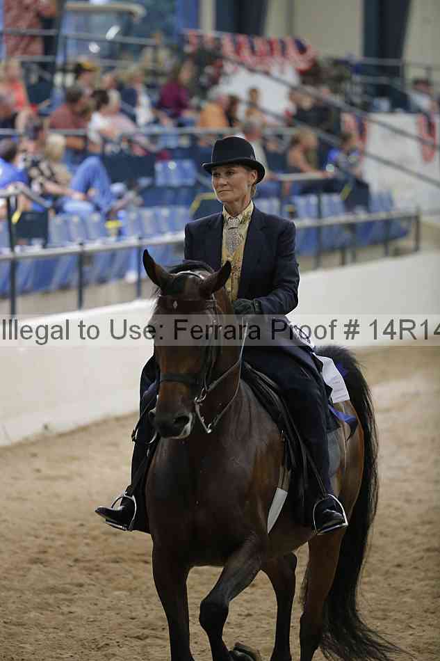 Proof 14r14_3594