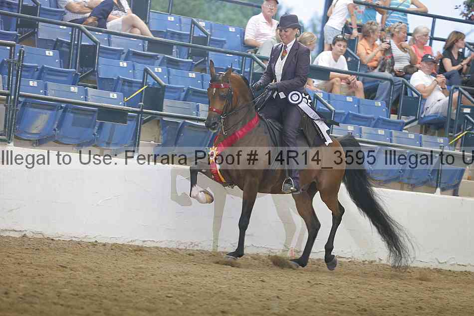 Proof 14r14_3595