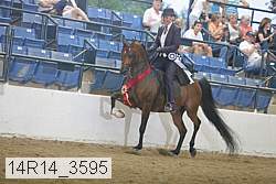 14r14_3595 proof
