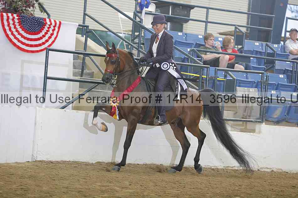 Proof 14r14_3596
