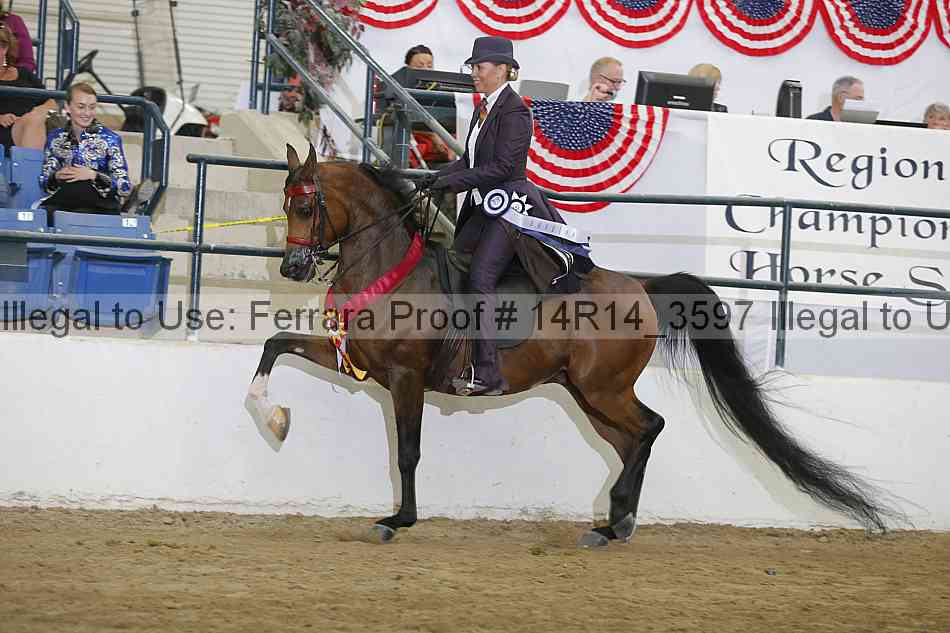 Proof 14r14_3597