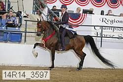 14r14_3597 proof