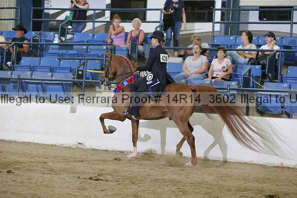 Proof 14r14_3602