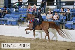14r14_3602 proof