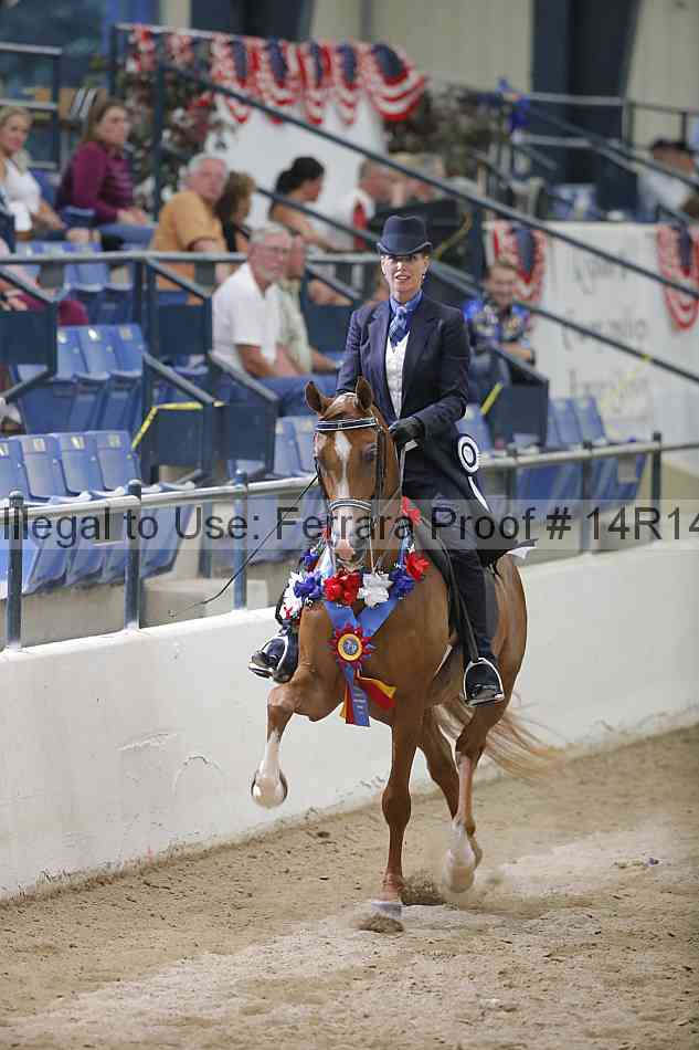 Proof 14r14_3603