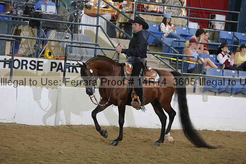 Proof 14r14_3605