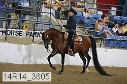 14r14_3605 proof