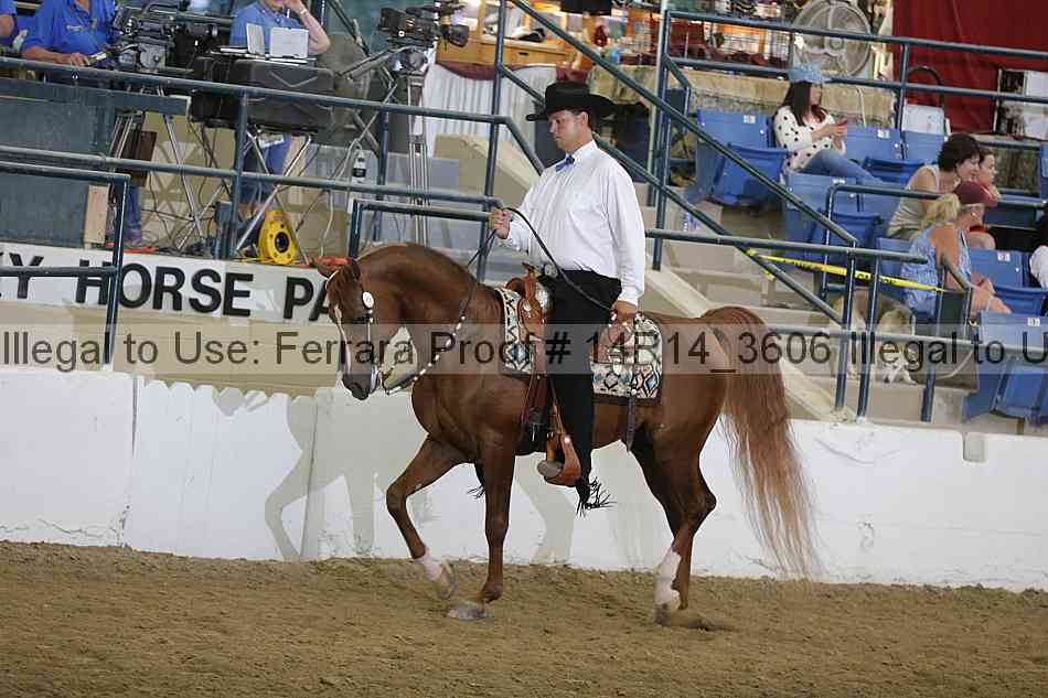 Proof 14r14_3606