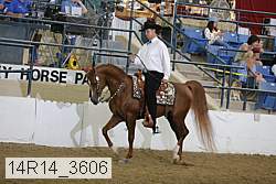 14r14_3606 proof