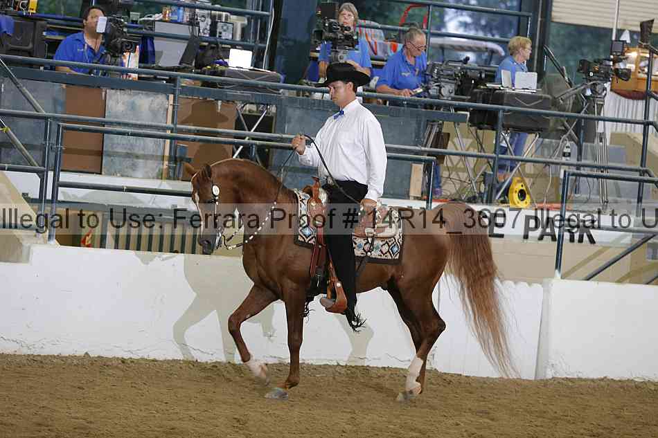 Proof 14r14_3607
