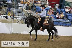 14r14_3608 proof