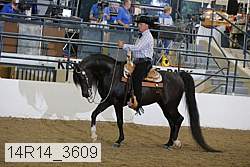 14r14_3609 proof