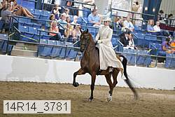 14r14_3781 proof