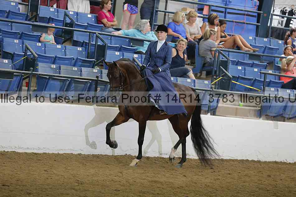 Proof 14r14_3783